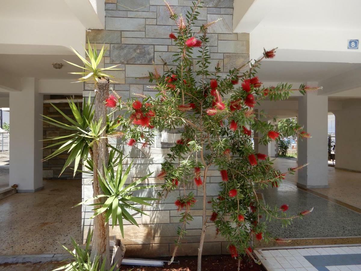 Sunshine Apartment Paralia Dionysiou Exterior photo
